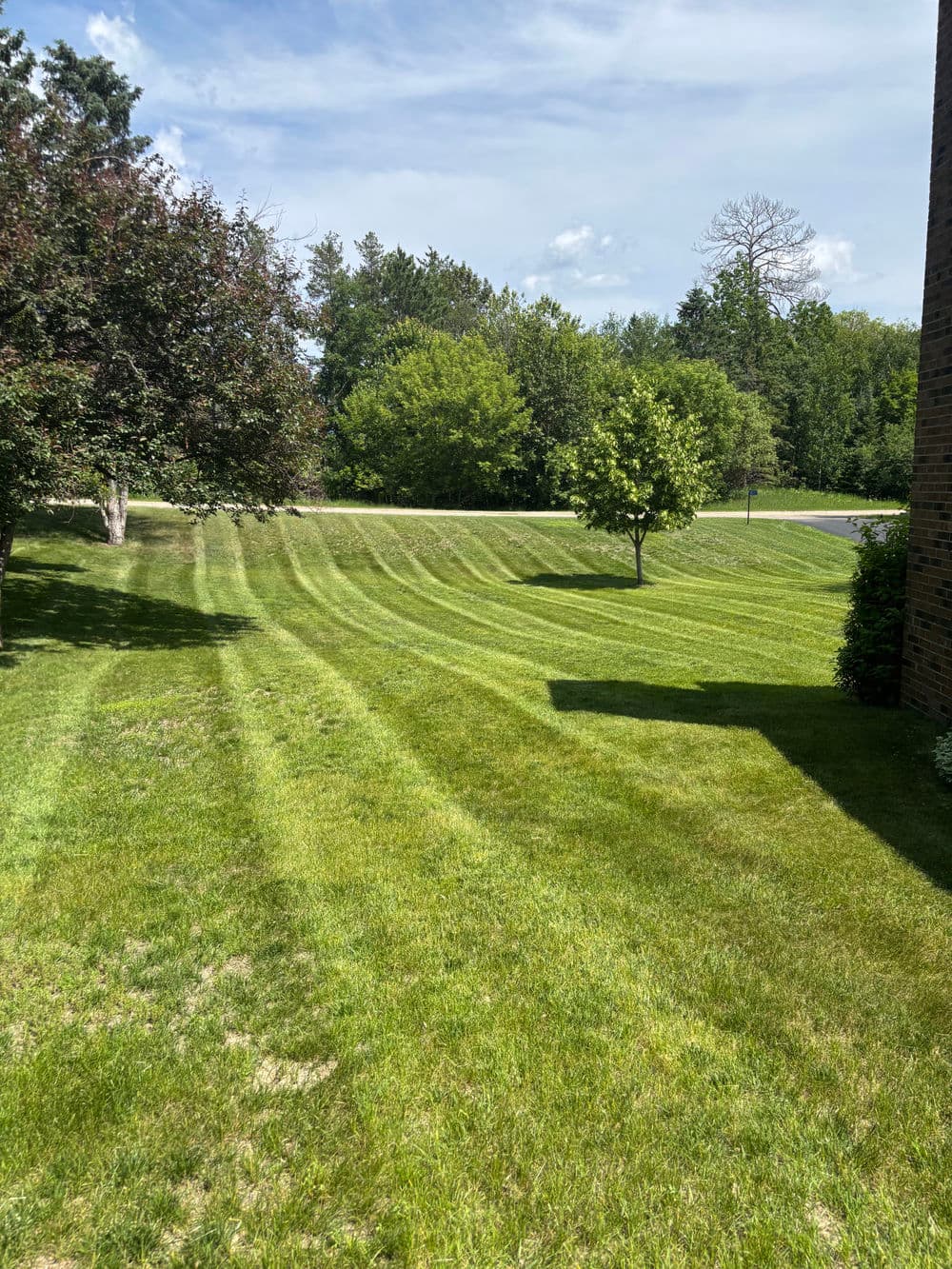 Lush green lawn with neatly mowed stripes and trees under a clear blue sky.