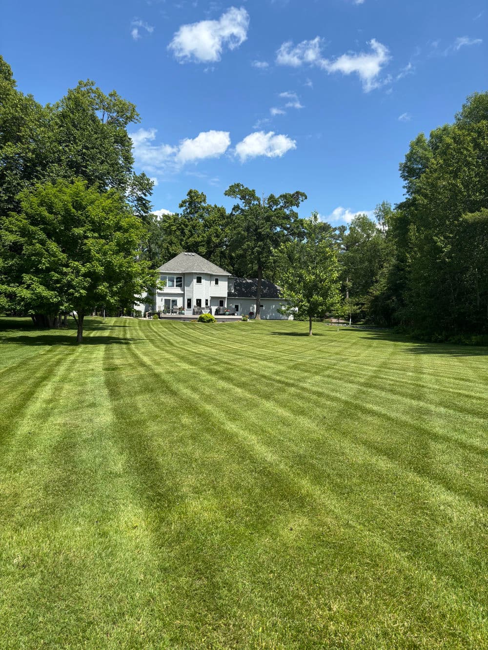 Lush green lawn with striped grass and a large house surrounded by trees under a blue sky.