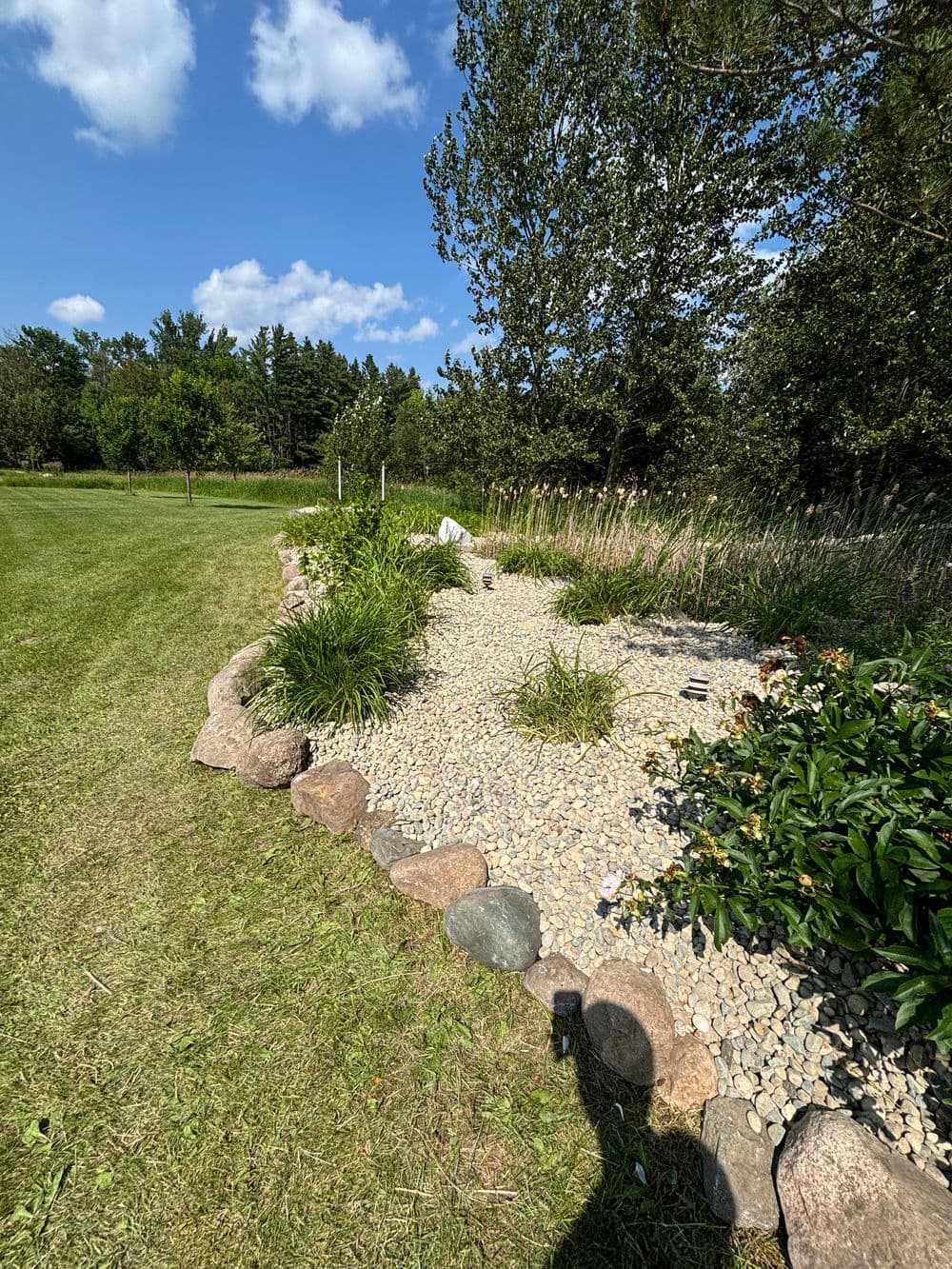 Garden landscape featuring rocks, gravel, plants, and trees under a blue sky.